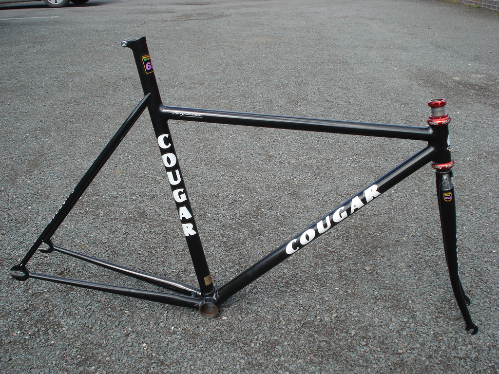 dolan frame price